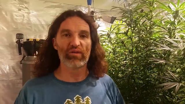 Spectrum King LED | How to Use Different LED Grow Light Reflectors смотреть онлайн