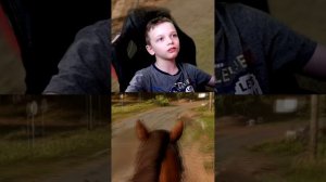 ЛОШАДИНАЯ СИЛА