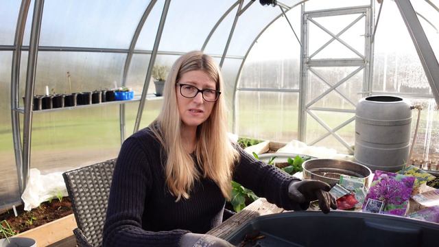 Seeds| Comfrey| Arran Victory Potatoes| Irish Garden