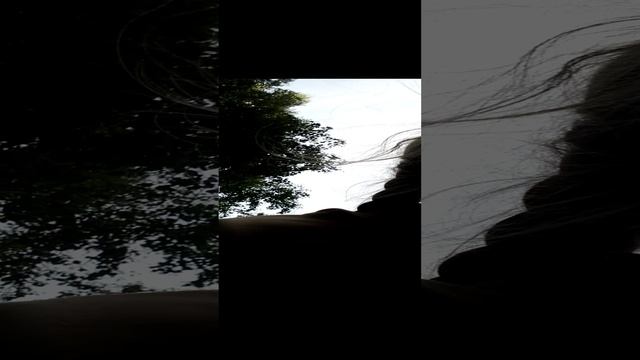 VID_20230819_183938.mp4 смотреть онлайн