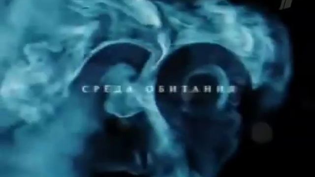 Польза и вред сухофруктов смотреть онлайн