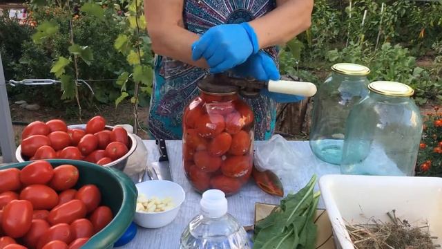 Холодная вода, помидоры, салициловая кислота. смотреть онлайн