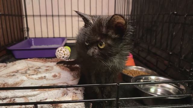 ЭФОЧКА смотреть онлайн