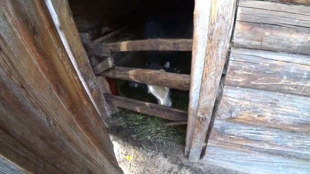 МОТОБЛОК ФЕРМЕР ОСЕННЯЯ ВСПАШКА ОГОРОДА смотреть онлайн