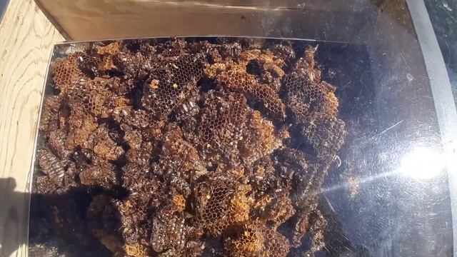 Солнечная воскотопка смотреть онлайн