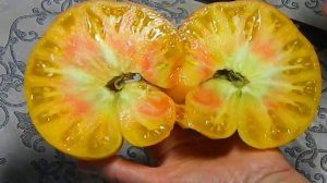 Томат Бабушка Виней. Тест зрелых помидоров.