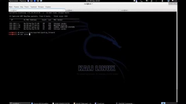 ARP SPOOFING ARP POISONING при помощи arpspoof в Kali Linux смотреть онлайн