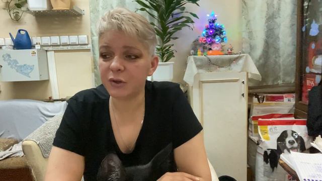 Мейкап «кошачий глаз». 👁 смотреть онлайн