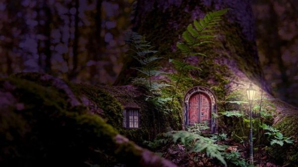 Fairy Forest Ambience and Music | sounds of magical forest in the evening with ambient fantasy musi