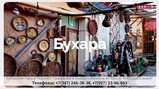 Авторские туры в Узбекистан: Ташкент, Самарканд и Бухару из Уфы и другие регионов России. Хазина Ту смотреть онлайн