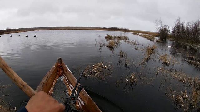сезон охоты на гуся 2022 Осень goose hunting season 2022 Autumn смотреть онлайн