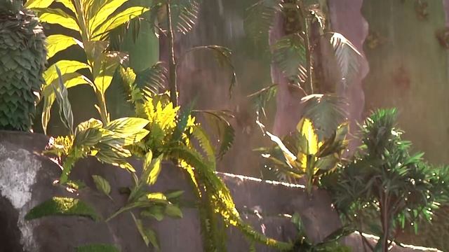 В городе Волжском открылась вторая очередь аквапарка «21 Век» смотреть онлайн