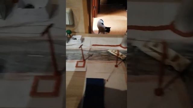 делаю Бумажный город смотреть онлайн