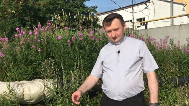 Размышления - Слово стало плотью (46) 19.07.2020 смотреть онлайн