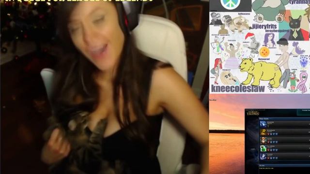 ДЕВУШКА ДУШИТ КОТА НА СТРИМЕ? - KneeColeslaw смотреть онлайн