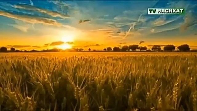 Даже дьявол подчиняется приказам Бога смотреть онлайн