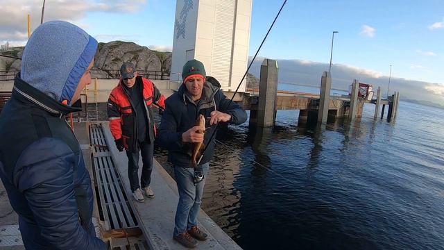 Рыбалка в Норвегии -1 часть. Angeln in Norwegen. Norway Fishing. смотреть онлайн