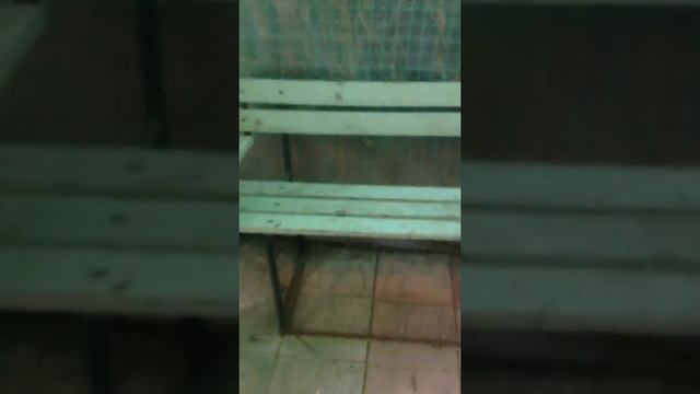 ТопСад. Танцы в саду вокруг винограда! Часть 1 - 2012 год смотреть онлайн