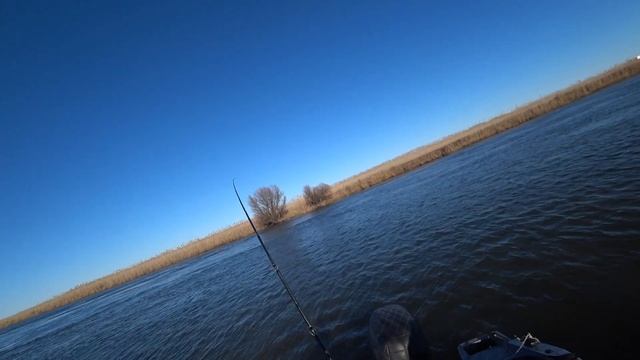 БЕШЕНЫЙ КЛЕВ СУДАКА на ДЖИГ. РЫБАЛКА В АСТРАХАНИ, судак на каждом забросе. Зимний жор судака. СТАНЬ смотреть онлайн