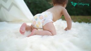 Подгузники и трусики Offspring