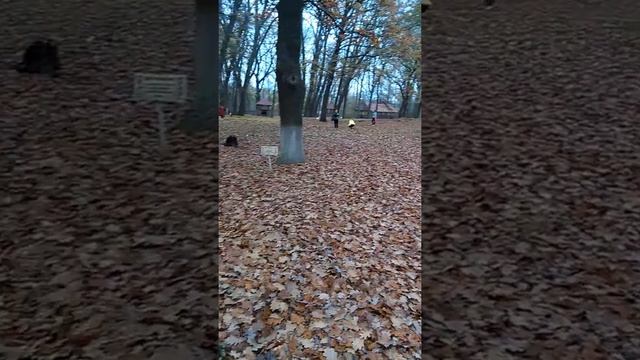 Город Кировоград. смотреть онлайн