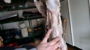 Бобёр горячего копчения - целиком