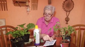 Голова садовая - Удобрения для овощей и цветов