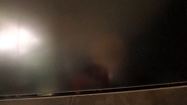 Варшава, зоопарк, конь Пржевальского, кто живет с бегемотом, февраль 2020 смотреть онлайн