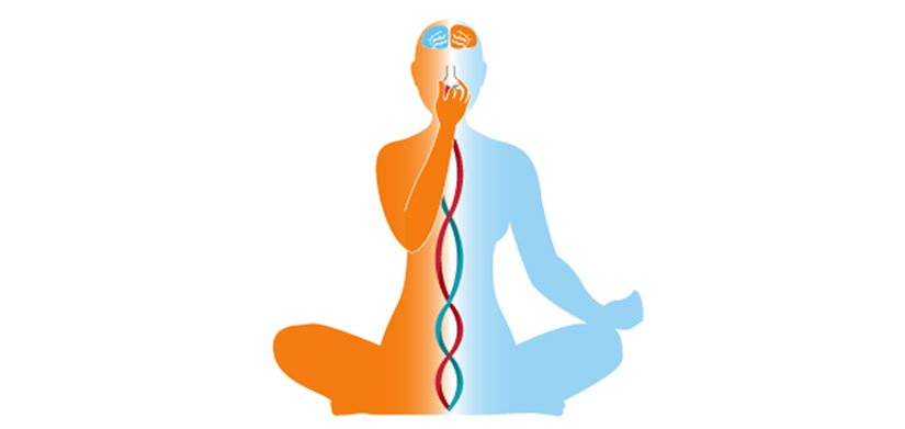 Сукха Пурвака или ДЫХАНИЕ ПО КАРАВАЕВУ смотреть онлайн