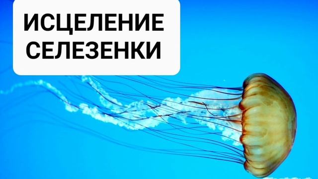 Исцеление селезенки. Мощный саблиминал, усиленный бинауральными ритмами. Аффирмации на самоисцелени смотреть онлайн