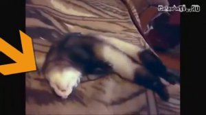 +100500 (59) эпизод