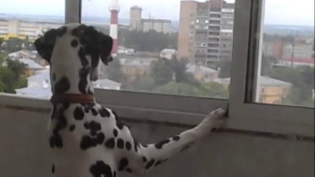 А мне летать охота... смотреть онлайн