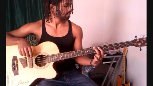 Chop Suey - System Of A Down - Acoustic Bass Cover смотреть онлайн