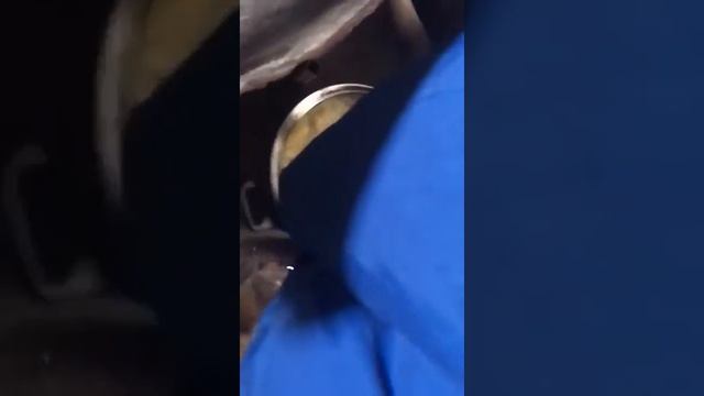 Рыбалка на Красноярском водохранилище смотреть онлайн