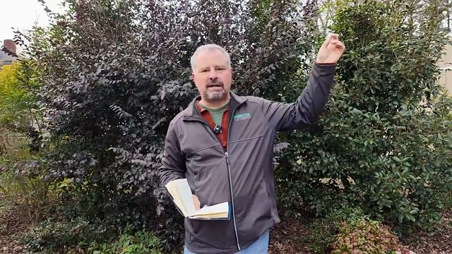 Awesome Garden Questions from Subscribers - Transplanting, Bad Sandy Soil, When to Fertilize смотреть онлайн