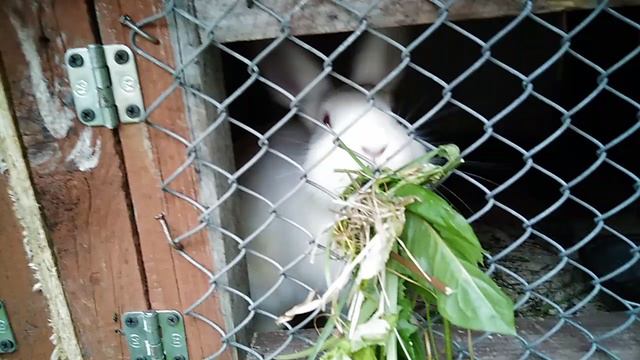 VID_20240608_204257.mp4 смотреть онлайн