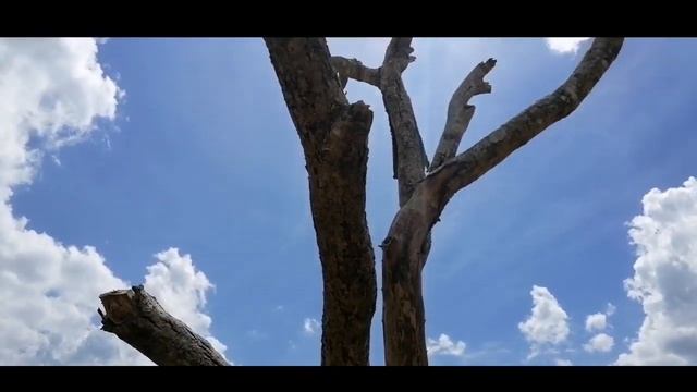 Habarana Village || Habarana Temple || смотреть онлайн