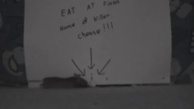 mouse hunt смотреть онлайн