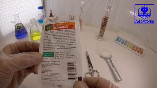 Огурец Изящный. (Cеметра) Поиск смотреть онлайн