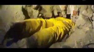 Искатели Янтарный призрак