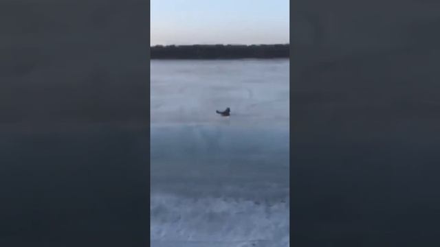 23 января 2023 г. смотреть онлайн