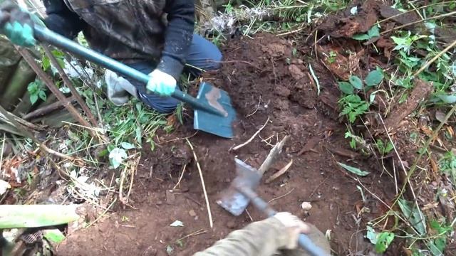 Нашёл самую дорогую бутылку. Оболдел когда узнал цену . смотреть онлайн