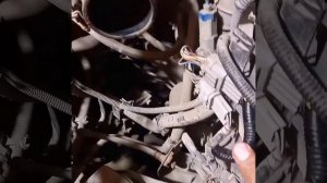 ниссан альмера классик -не заводится пропало все ...