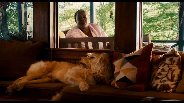 Для чего нужно срочно завести собаку