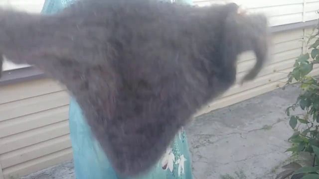 Косынки и палантины серенькие.Все вопросы по телефону 8 992 145-23-92 (есть ватсап) смотреть онлайн