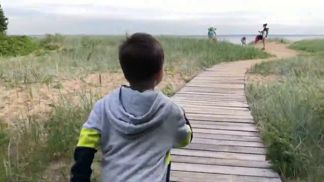 Vlog#3 - Западный Котлин заказник / West Kotlin Island смотреть онлайн