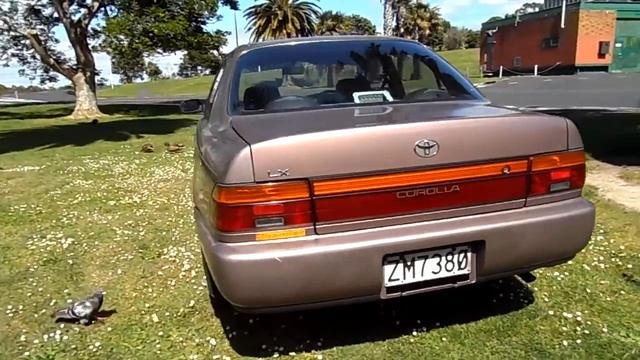 1991 Toyota corolla hatch from Rockstar Cars Devonport смотреть онлайн