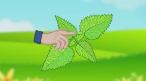 ✨Спокойной ночи, малыши✨ №125/2023 Жгучие листья