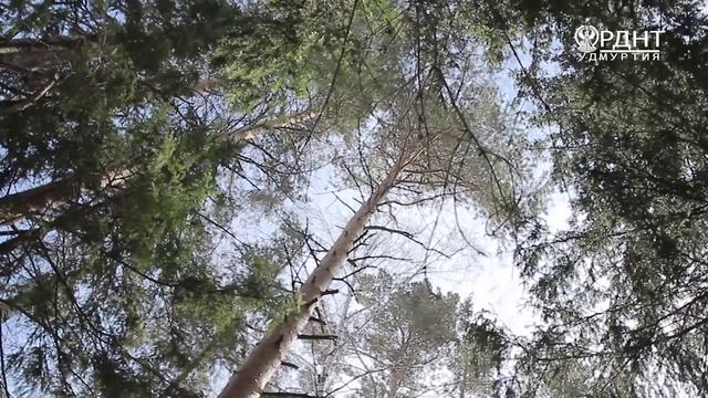 Праздник Акашка Карамас Пельга 2018 смотреть онлайн