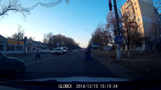 Пес на переходе Решает переходить дорогу или нет Solves the dog to cross the road or not смотреть онлайн